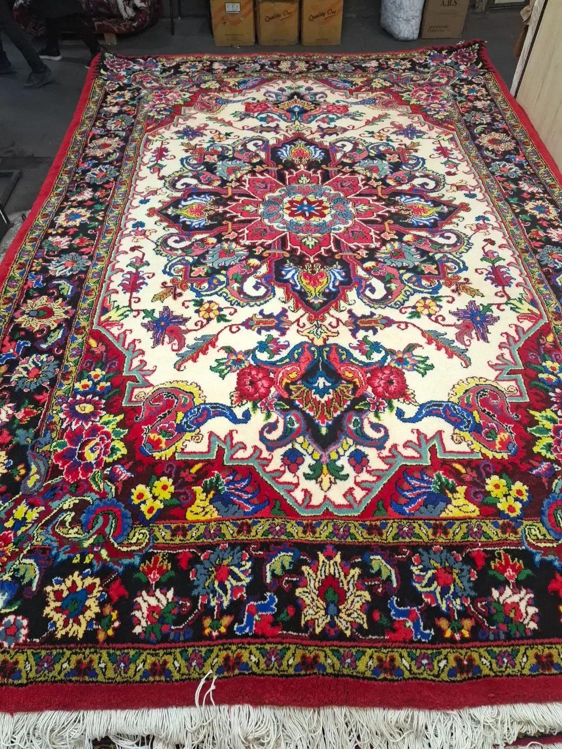 یک جفت فرش دست‌باف سالاری ۶ متری کرم|فرش|تبریز, |دیوار