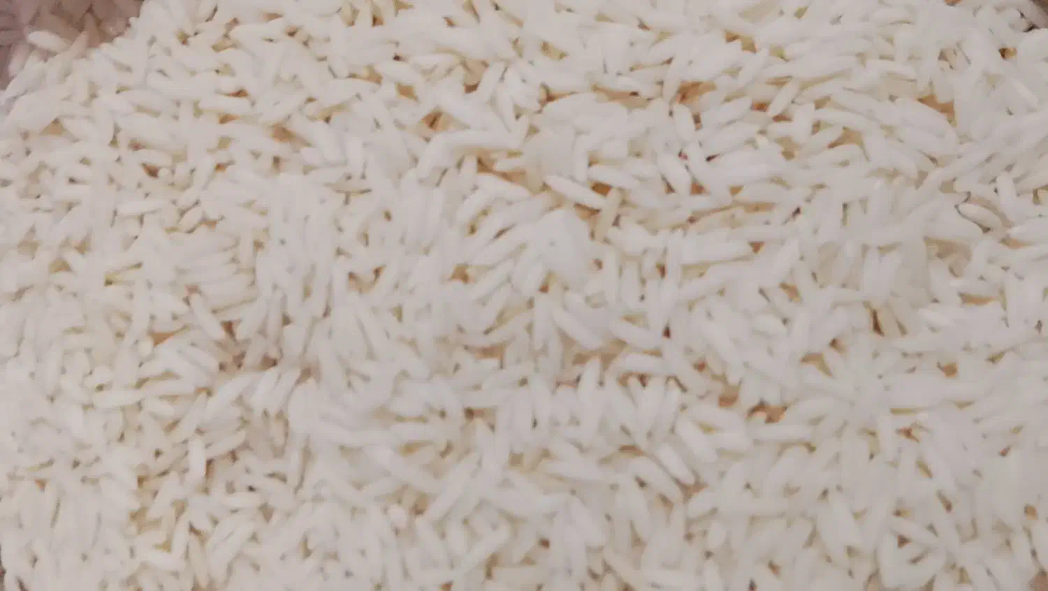 فروش برنج هاشمی خوش بو عطر خوش پخت پز به شرط|خوردنی و آشامیدنی|لاهیجان, لفمجان|دیوار