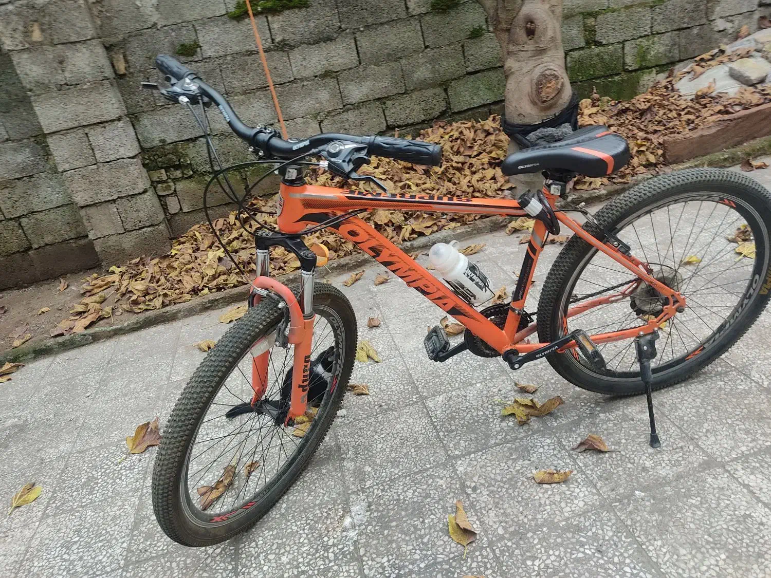 دوچرخه سایز ۲۶ المپیا|دوچرخه، اسکیت، اسکوتر|رشت, نظری|دیوار