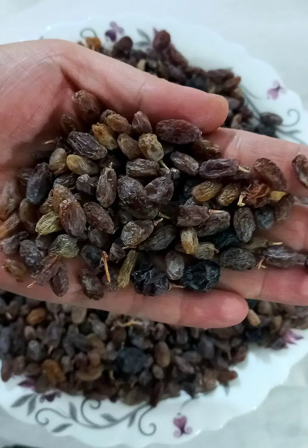 کشمش تمیز و درجه یک ،بدون هسته|خوردنی و آشامیدنی|مرودشت, بیست متری بیمارستان|دیوار