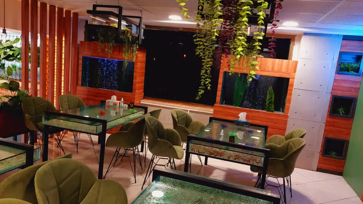 آکواریوم|ماهی|گرگان, |دیوار