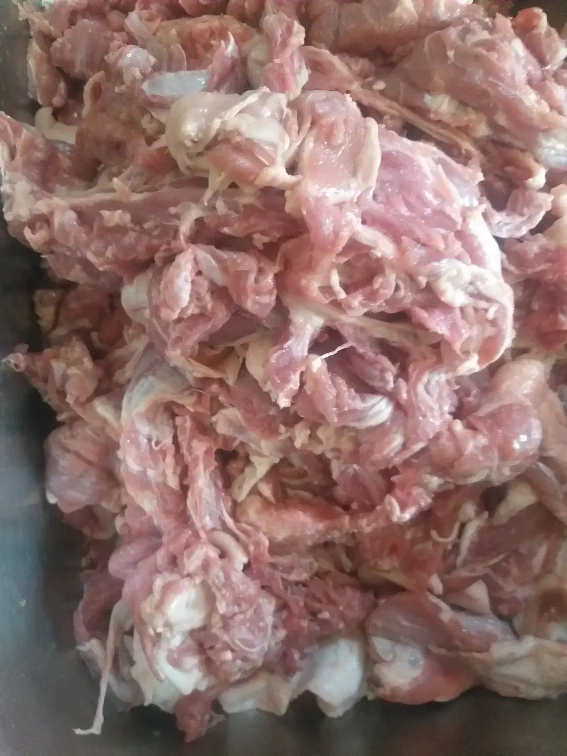 فروش عمده خورده راسته بره بدون چربی|خوردنی و آشامیدنی|تهران, کوهک|دیوار