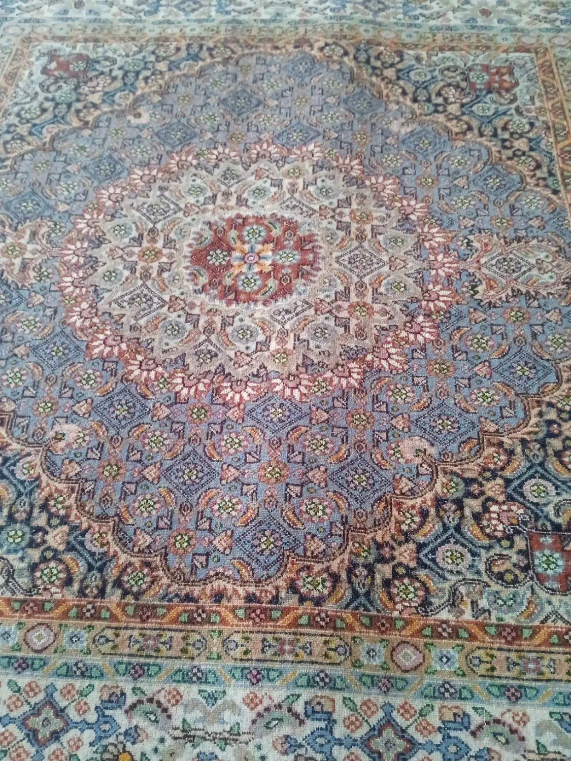 قالیچه دستباف|فرش|بیرجند, |دیوار