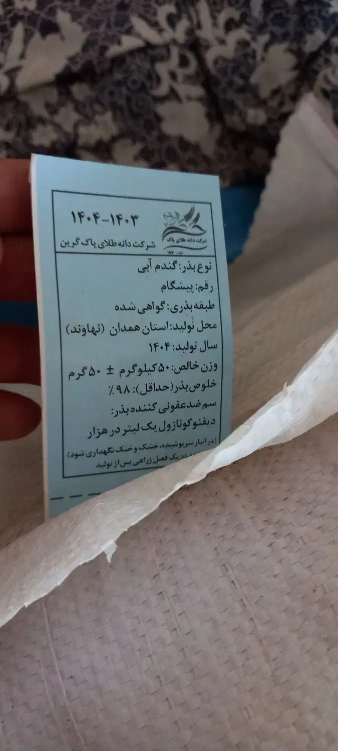 گندم ابی پیشگام ۲۵۰ کیلو|گل و گیاه طبیعی|اسدآباد, |دیوار