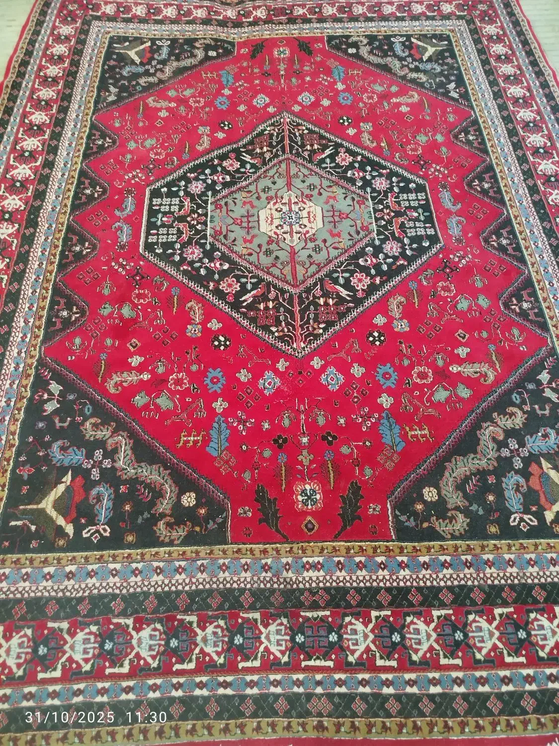 جفت 12متری قرمز رنگ خوش 500شانه|فرش|نظرآباد, رسالت|دیوار