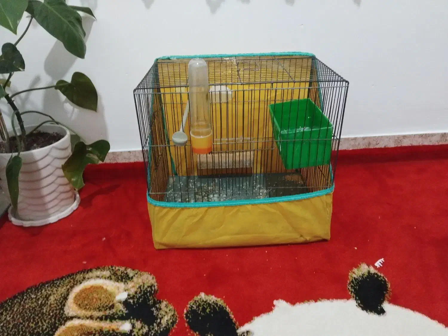 قفس پرنده|لوازم جانبی حیوانات|کرمانشاه, |دیوار