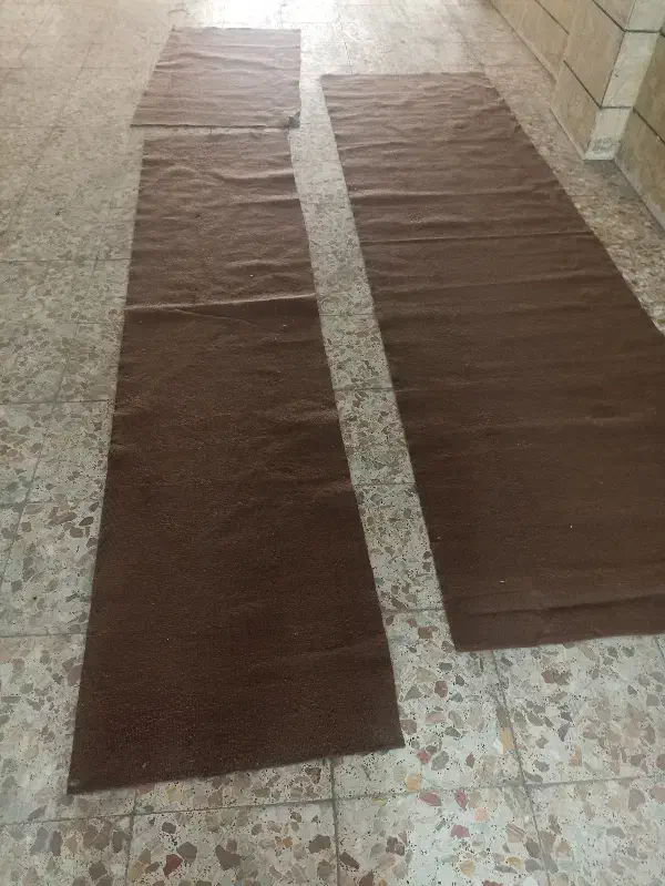 فرش|فرش|قزوین, |دیوار