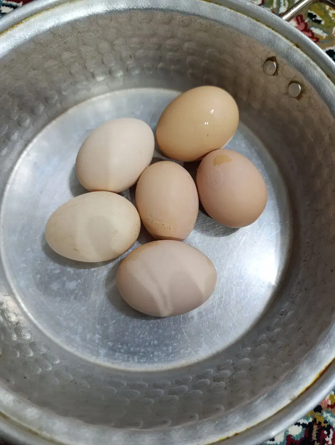 تخم مرغ خوراکی دونه ۱۰ تومن آدرس محدوده سنگر|خوردنی و آشامیدنی|سنگر, |دیوار