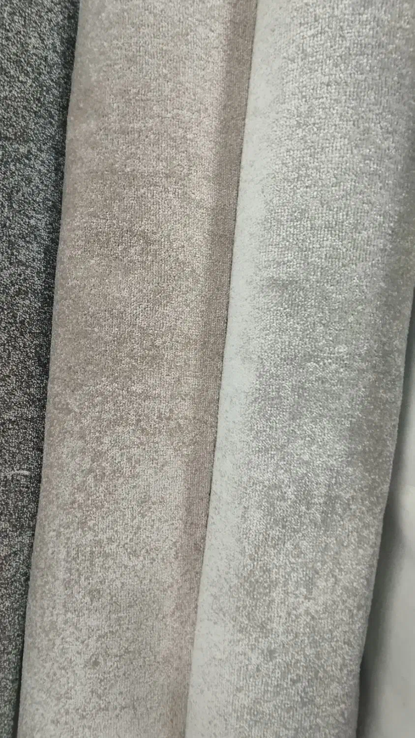 پخش موکت|موکت|نظرآباد, نظرآباد|دیوار