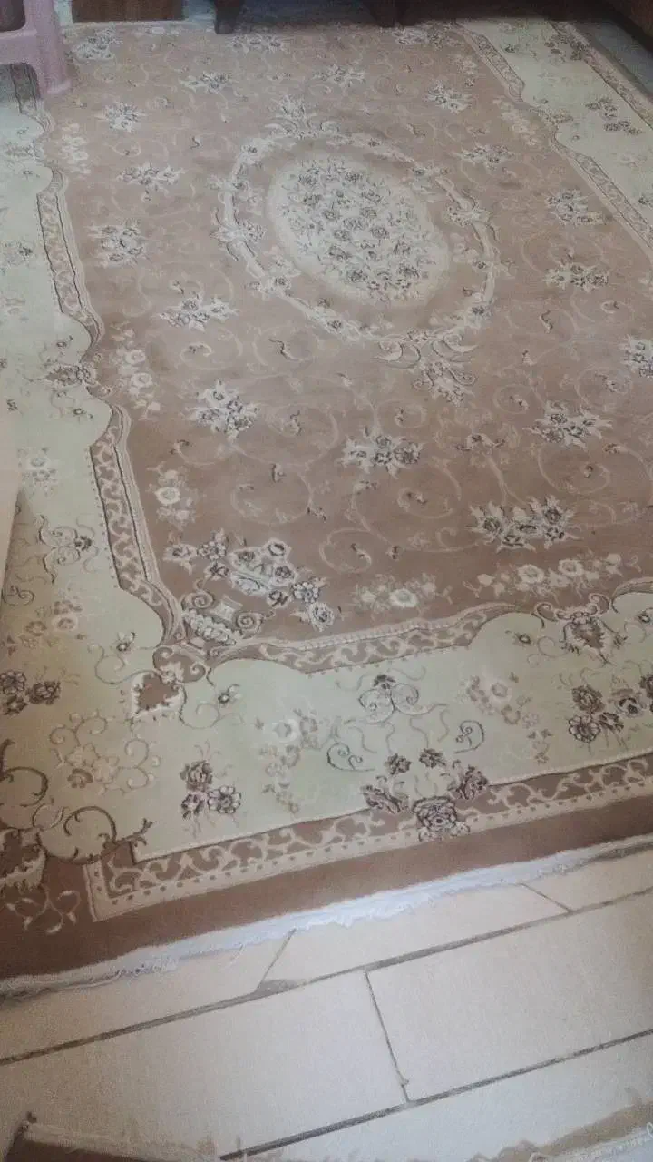 فرش ۶متری ۷۰۰شانه|فرش|ری, علایین|دیوار