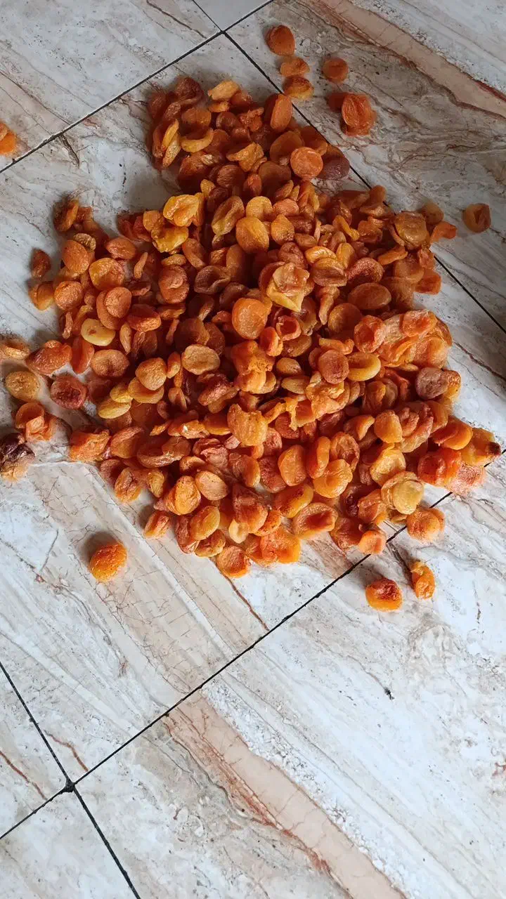 قیصی|عمده‌فروشی|مرند, |دیوار