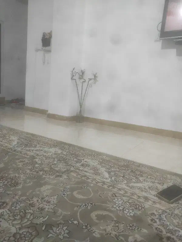 کارت ملی گمشده|اشیا|قشم, |دیوار