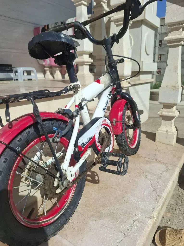 فروش دوچرخه|دوچرخه، اسکیت، اسکوتر|گنبد کاووس, |دیوار