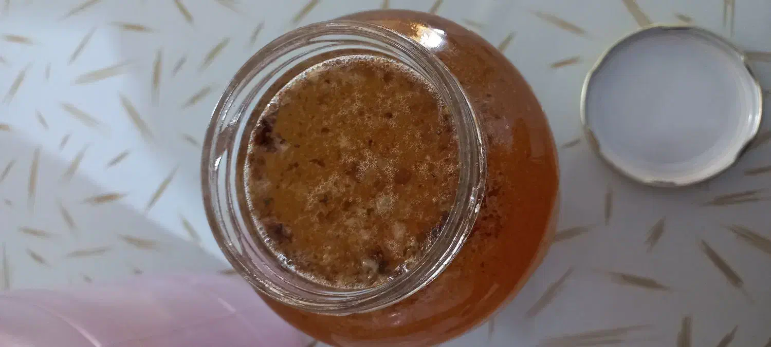 عسل طبیعی|خوردنی و آشامیدنی|یاسوج, |دیوار