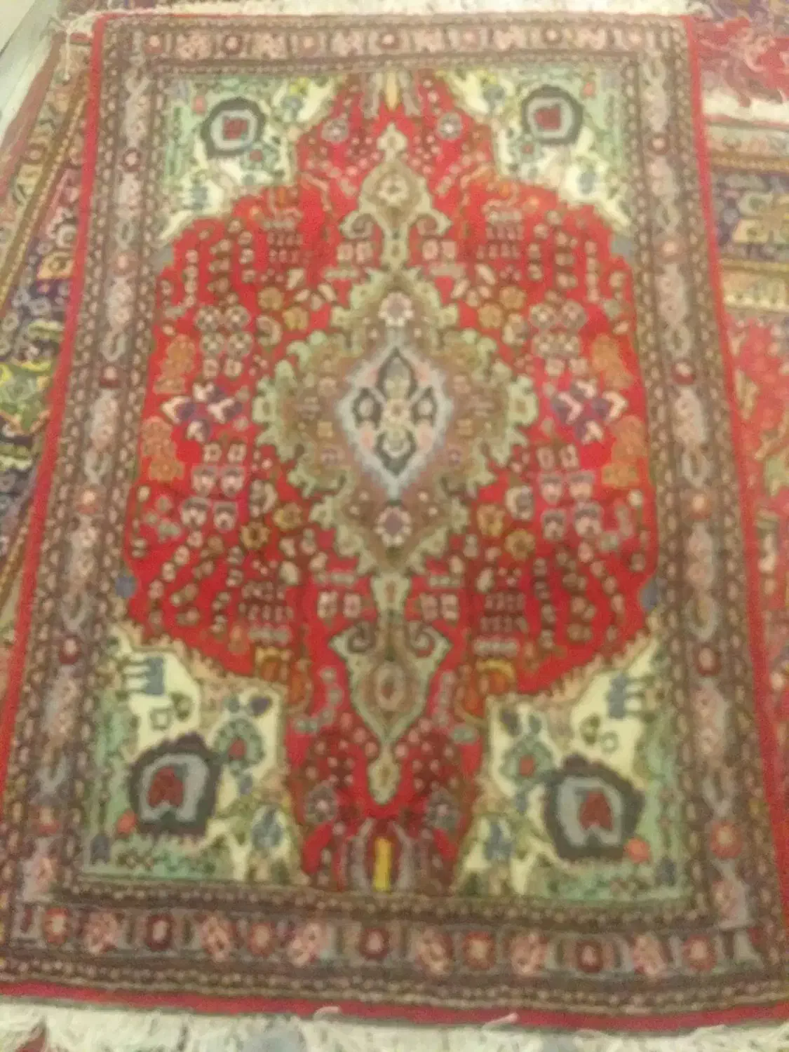 فرش دستباف ۱.۵ ×۱|فرش|بناب, |دیوار