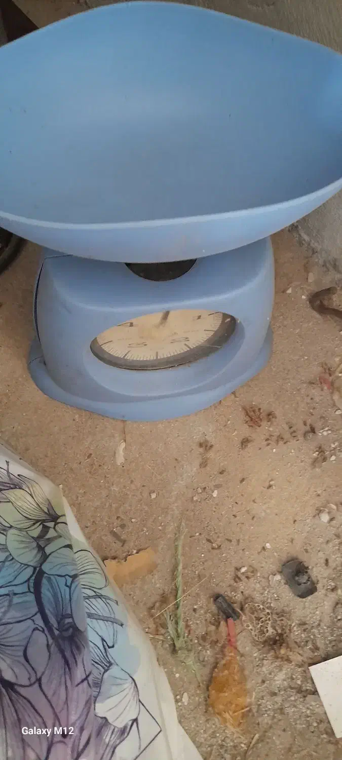 لوازم منزل|فرش|شاندیز, |دیوار