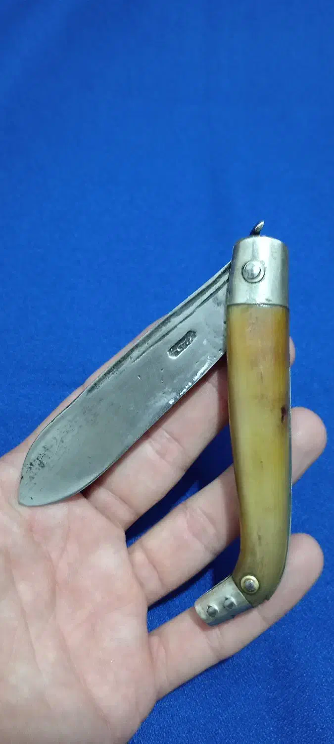 چاقو دسته شاخ|کوهنوردی و کمپینگ|نجف‌آباد, امام خمینی|دیوار