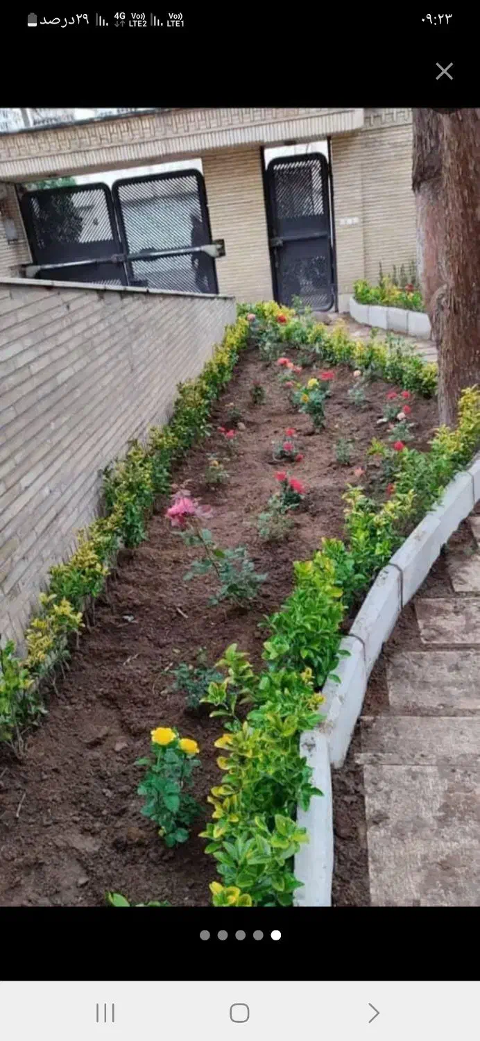 باغبانی در پردیس کرشت رودهن مهراباد|خدمات باغبانی و درختکاری|پردیس, فاز ۸|دیوار