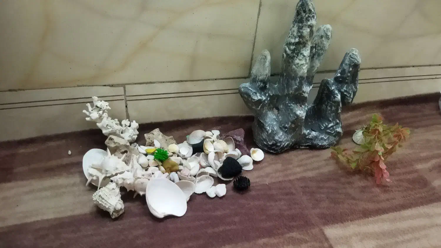 آکواریوم|ماهی|تهران, زهتابی|دیوار