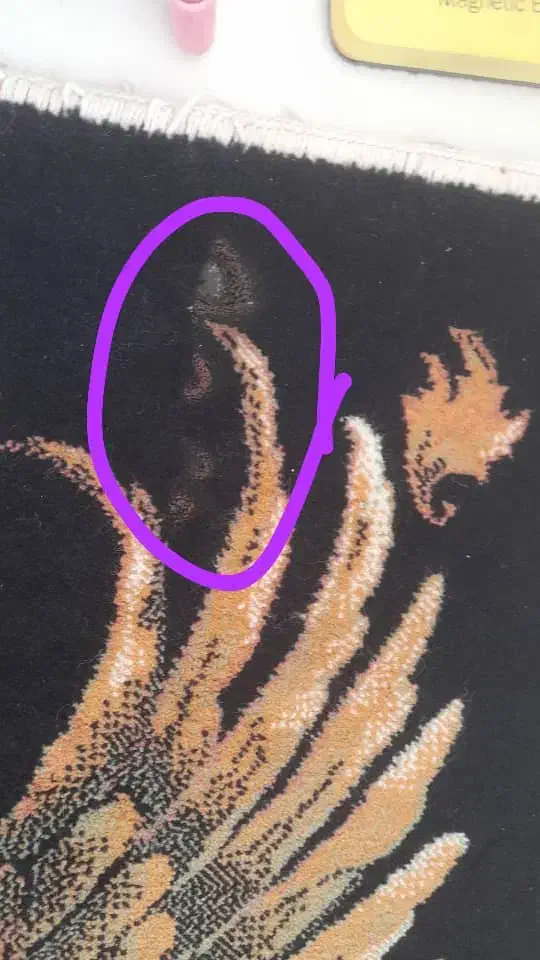 قالی نه متری|فرش|کرمان, |دیوار