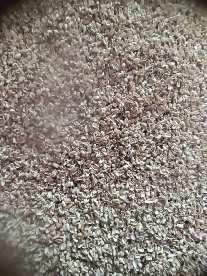 خرید پوست پسته|خدمات باغبانی و درختکاری|شهر بابک, |دیوار