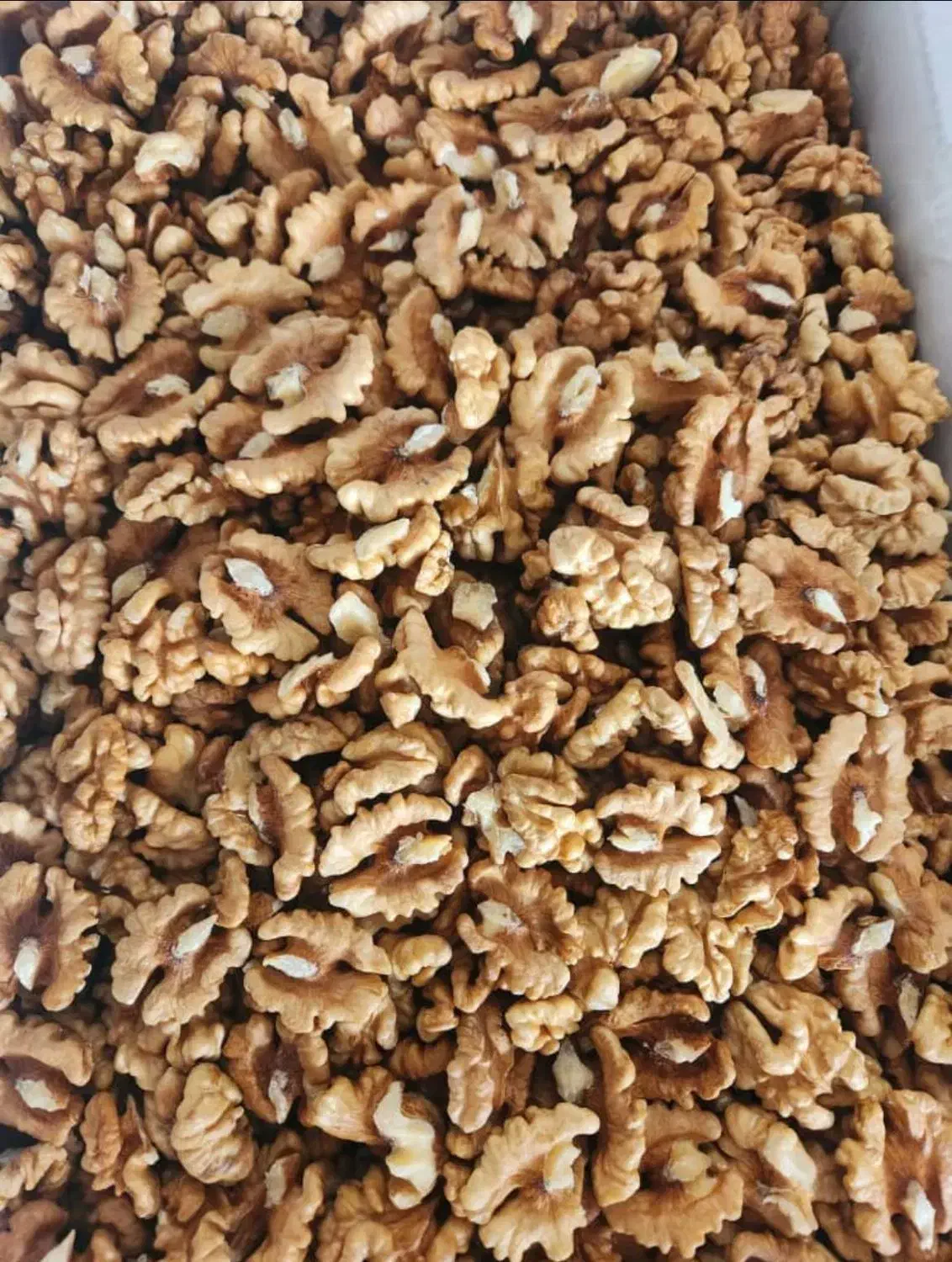 مغز گردو ایرانی درجه یک همدانی|خوردنی و آشامیدنی|شیراز, قصرالدشت|دیوار