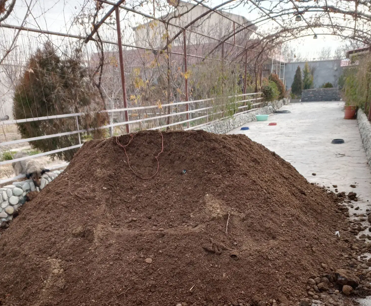 کود|خدمات باغبانی و درختکاری|رباط‌کریم, رباط‌کریم|دیوار