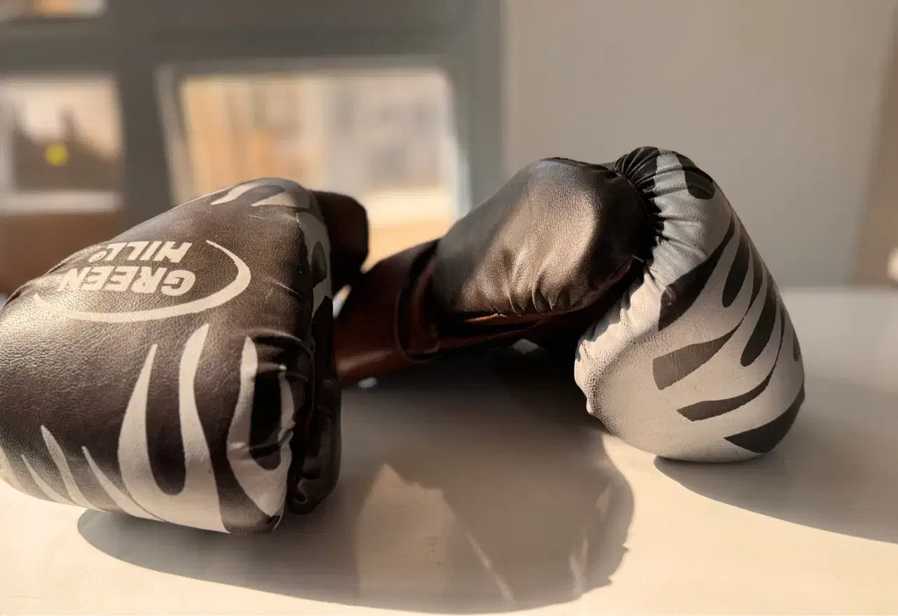 دستکش بوکس|تجهیزات ورزشی|مشهد, دانشجو|دیوار