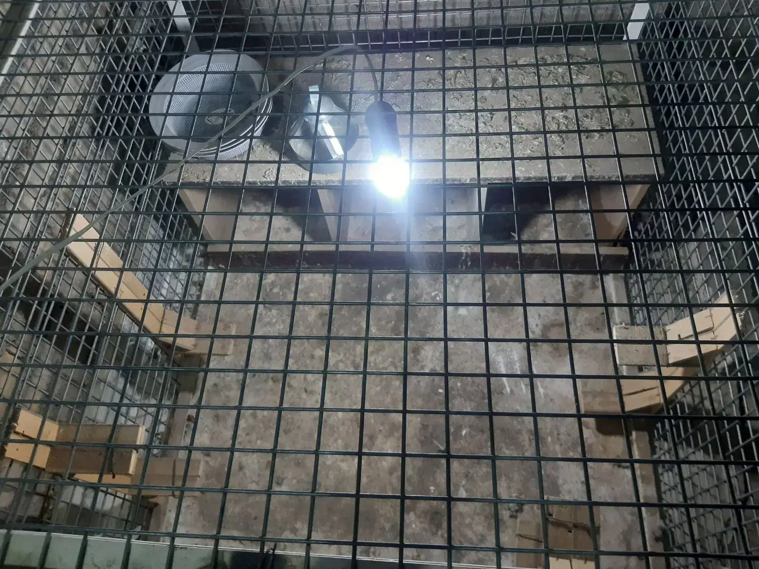 قفس فلزی|لوازم جانبی حیوانات|چناران, |دیوار