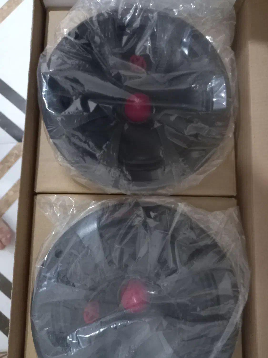 میدرنج کاشیاما سایز ۸ نو نو|صوتی و تصویری|آمل, |دیوار