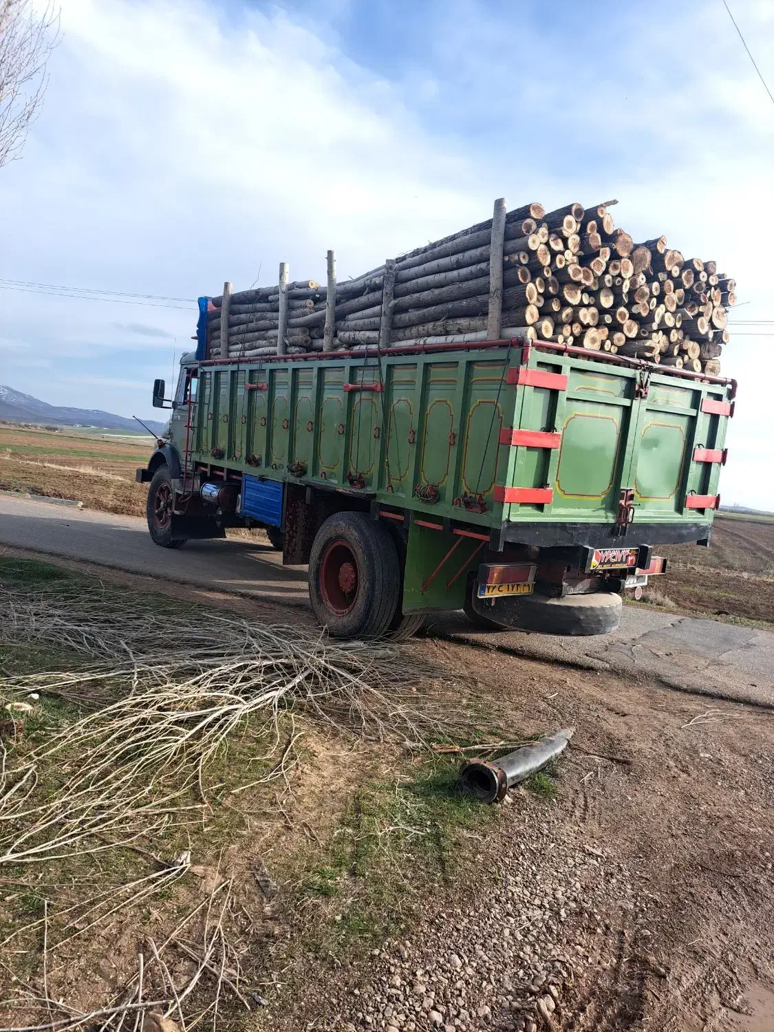 خرید چوب ودرخت|خدمات باغبانی و درختکاری|خرم‌آباد, |دیوار