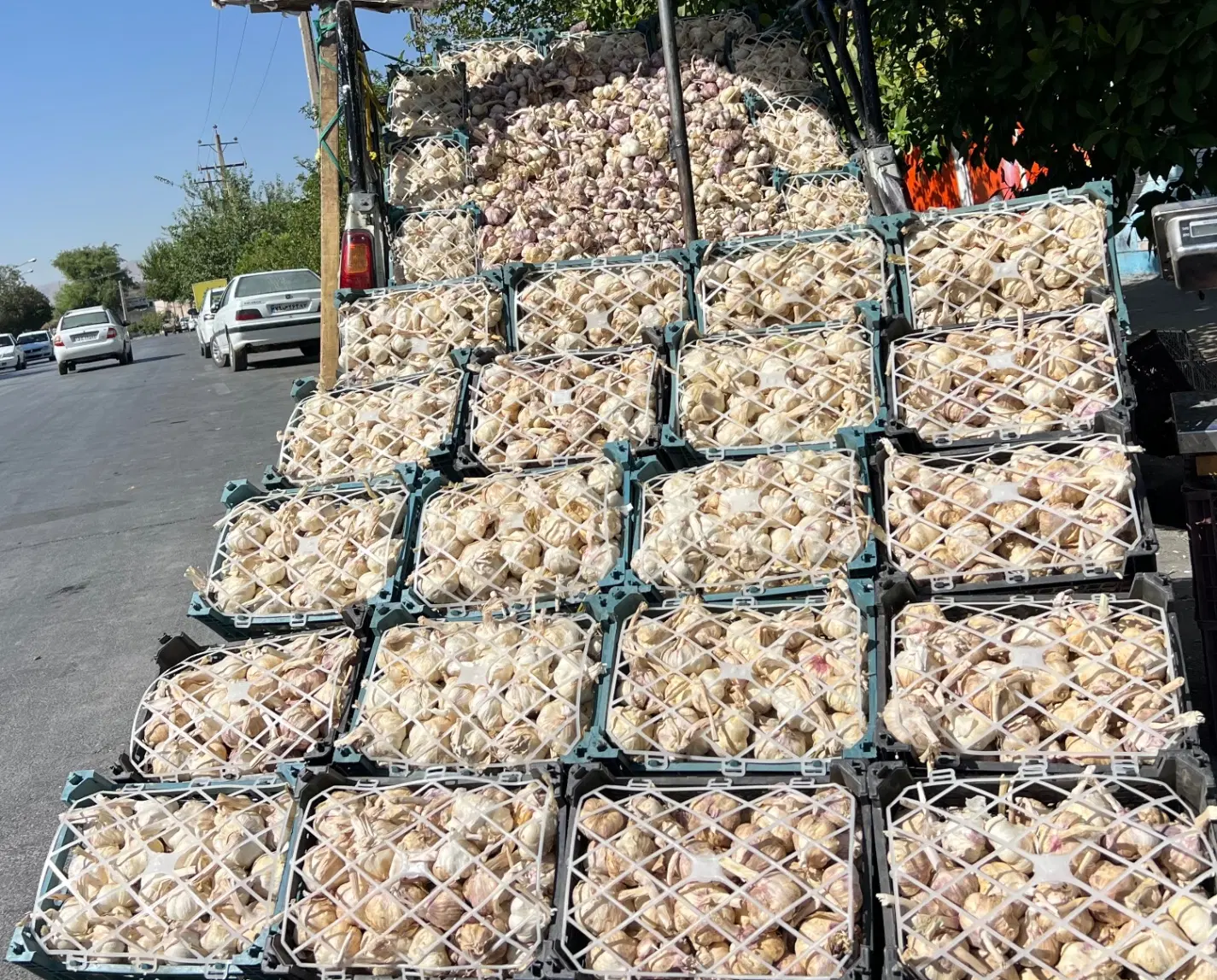 سیر همدان|خوردنی و آشامیدنی|شیراز, دباغ خانه|دیوار