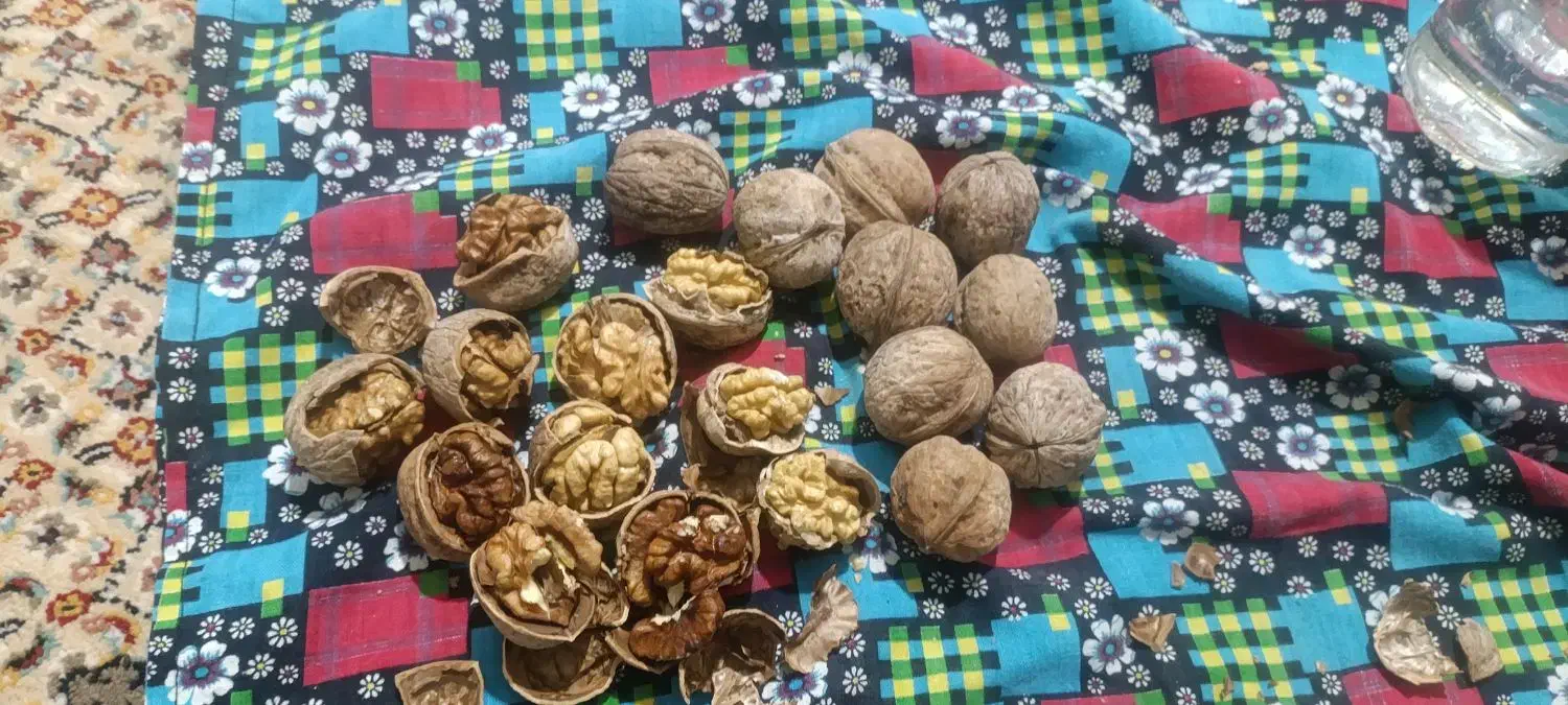 گردوی محلی مراغه و ملکان|خوردنی و آشامیدنی|میانه, |دیوار