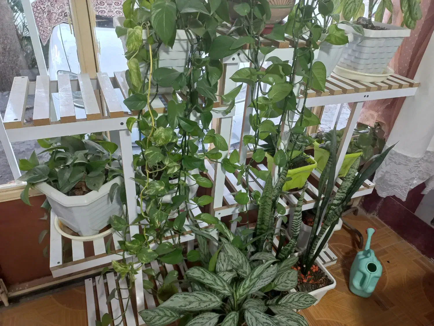 شلف ۱۲۰×۱۱۰|کتابخانه، شلف، قفسه‌های دیواری|کرمانشاه, |دیوار