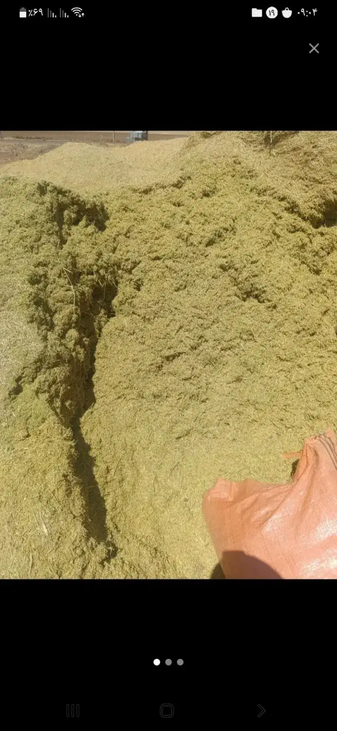 کاه عدس ولوبیا درجه یک سبز|حیوانات مزرعه|نورآباد ممسنی, |دیوار