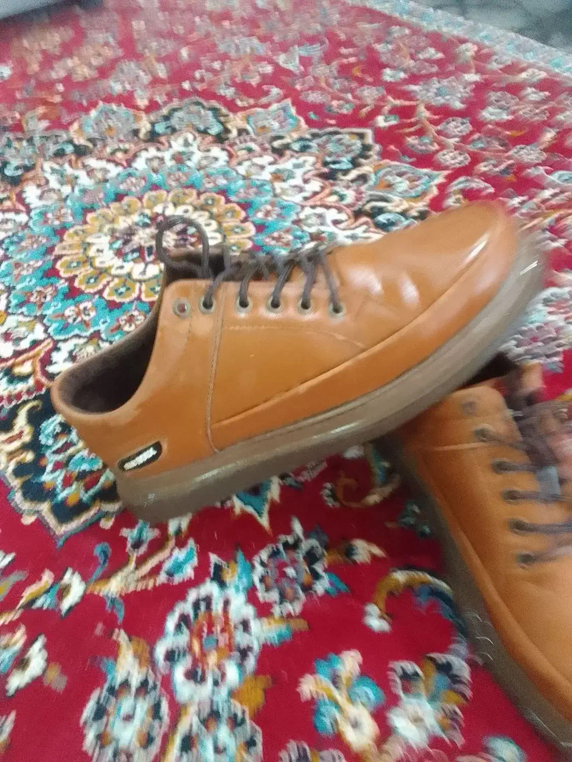 کفش|کیف، کفش، کمربند|مشهد, پورسینا|دیوار