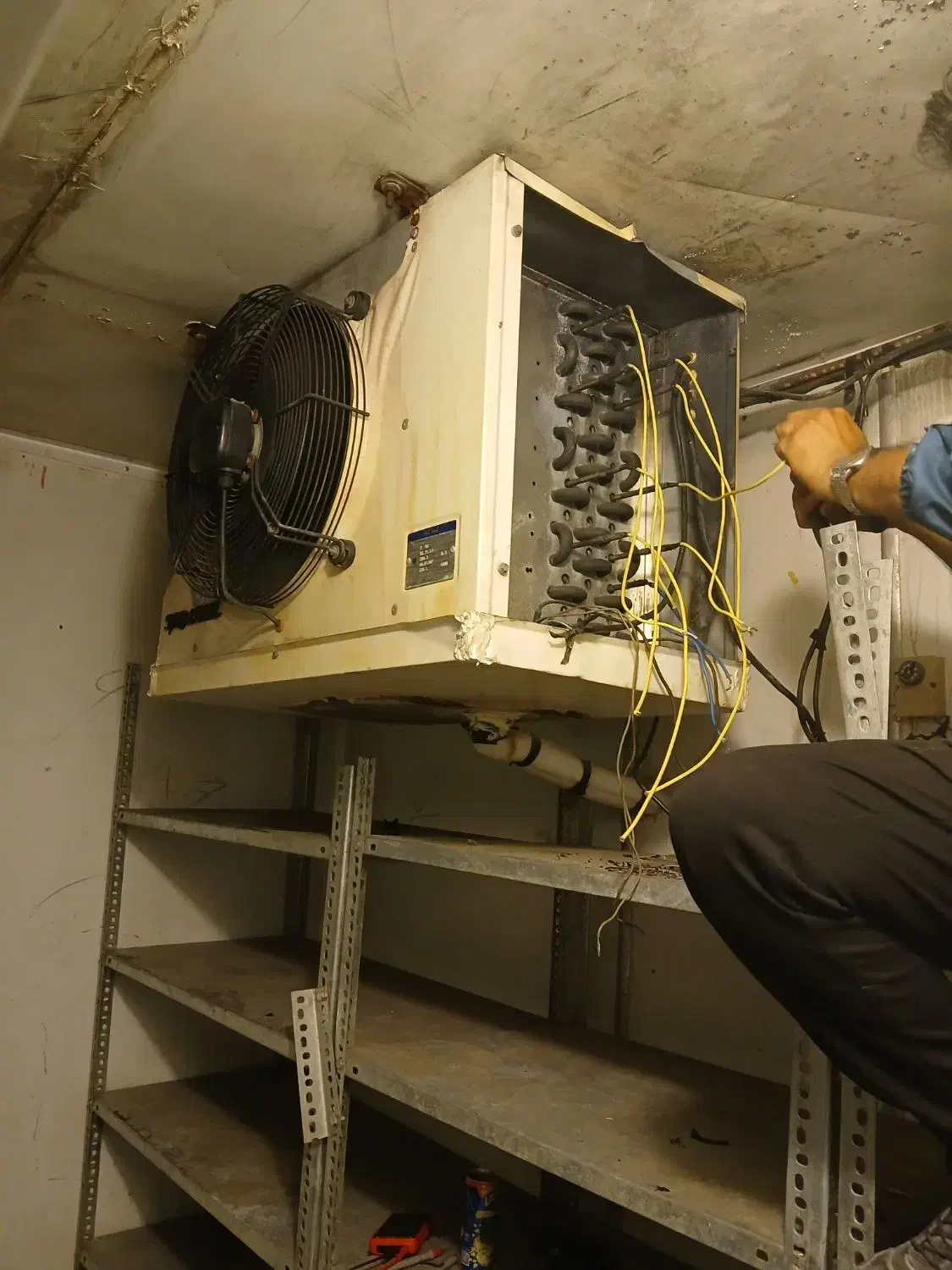 تعمیر فوری چیلر سردخانه ضمانتی سراسر شهر|خدمات پیشه و مهارت|مشهد, فارغ التحصیلان|دیوار