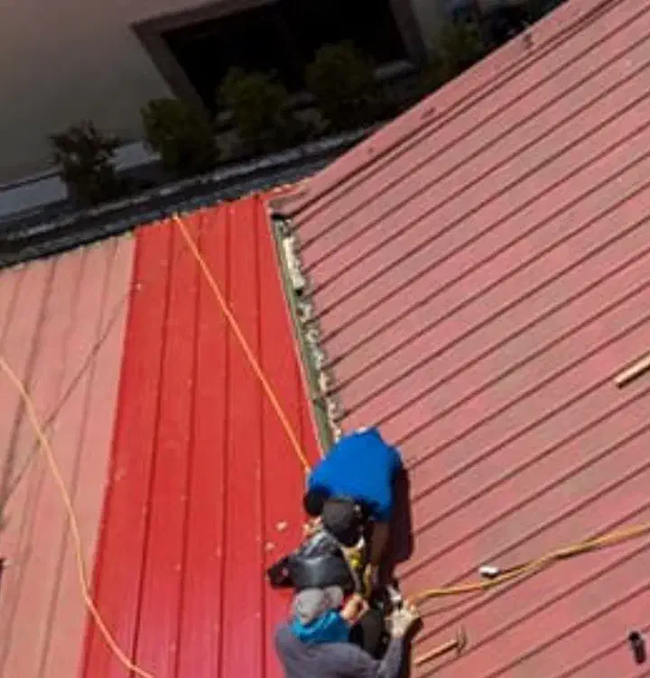 نجاری و نصب حلب وخورده کاری|خدمات پیشه و مهارت|رشت, شالکو|دیوار