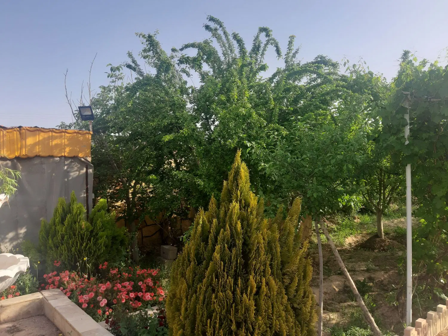 تصویر 8