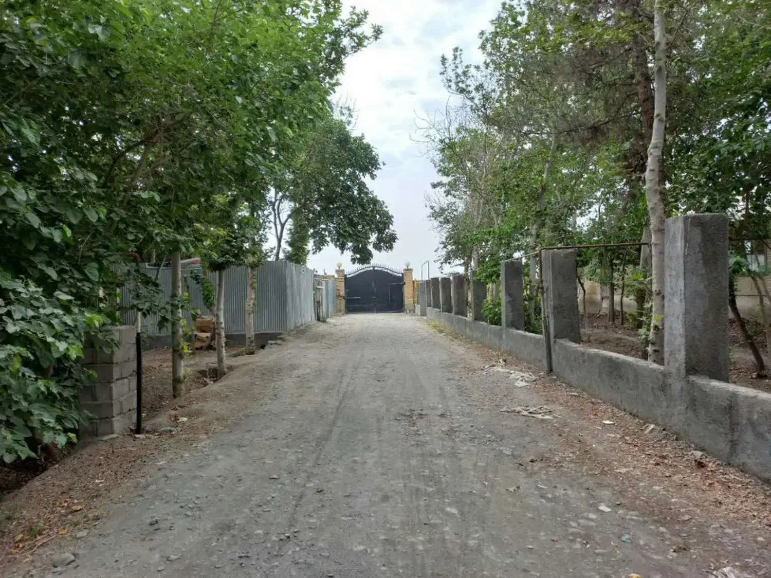 اجاره سوله 150 متری|اجارهٔ دفتر صنعتی، کشاورزی، تجاری|شاندیز, |دیوار