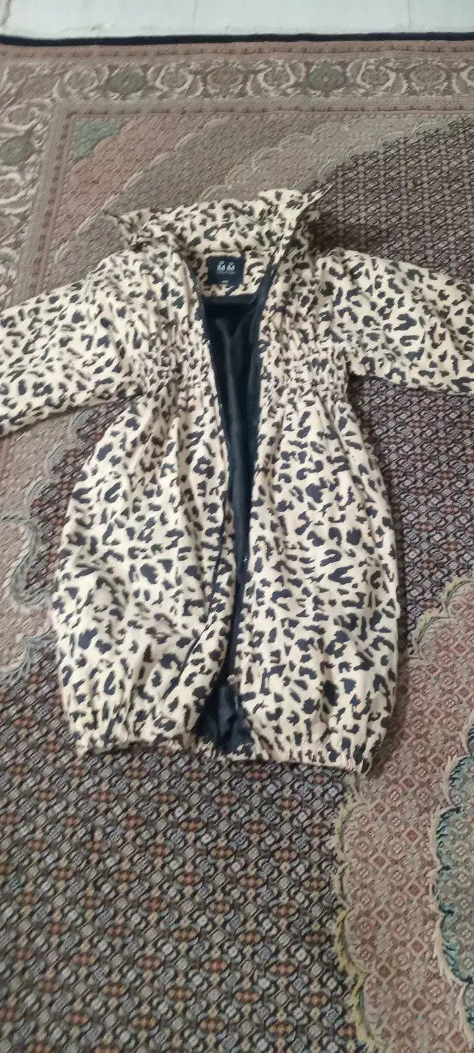 کاپشن زنانه|لباس|مشکین‌دشت, |دیوار