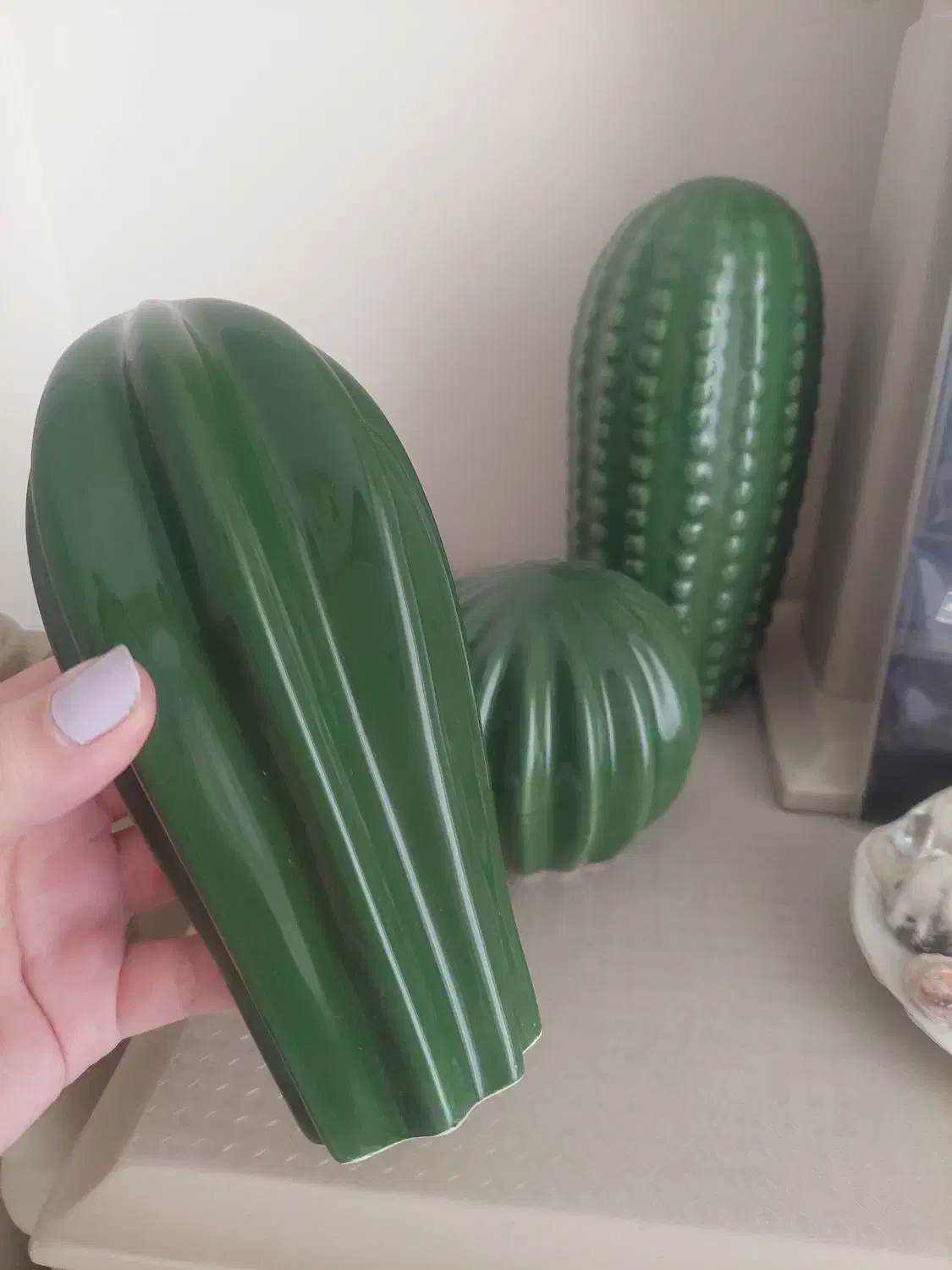 مجسمه دکوری کاکتوس|مجسمه، تندیس، ماکت|تهران, والفجر (افسریه)|دیوار