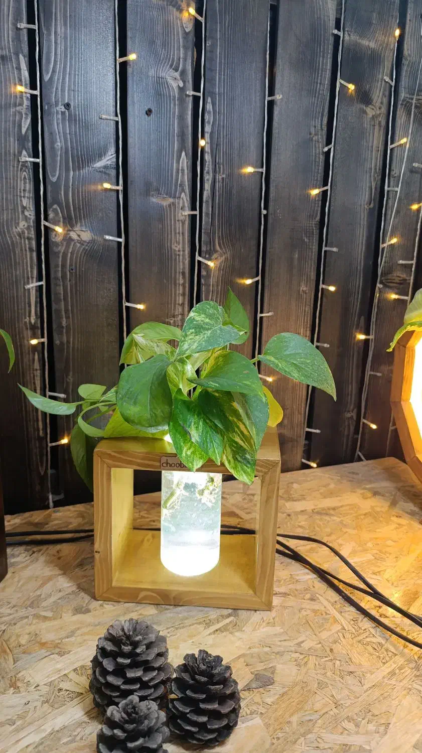 چراغ چهارضلعی|لامپ و چراغ|نیشابور, شهرک فرهنگیان|دیوار