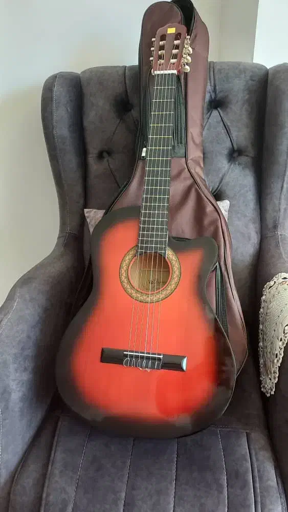 گیتار|گیتار، بیس، امپلیفایر|اردبیل, |دیوار