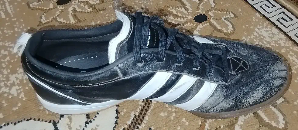 کفش سالن|کیف، کفش، کمربند|فردوس (خراسان), |دیوار