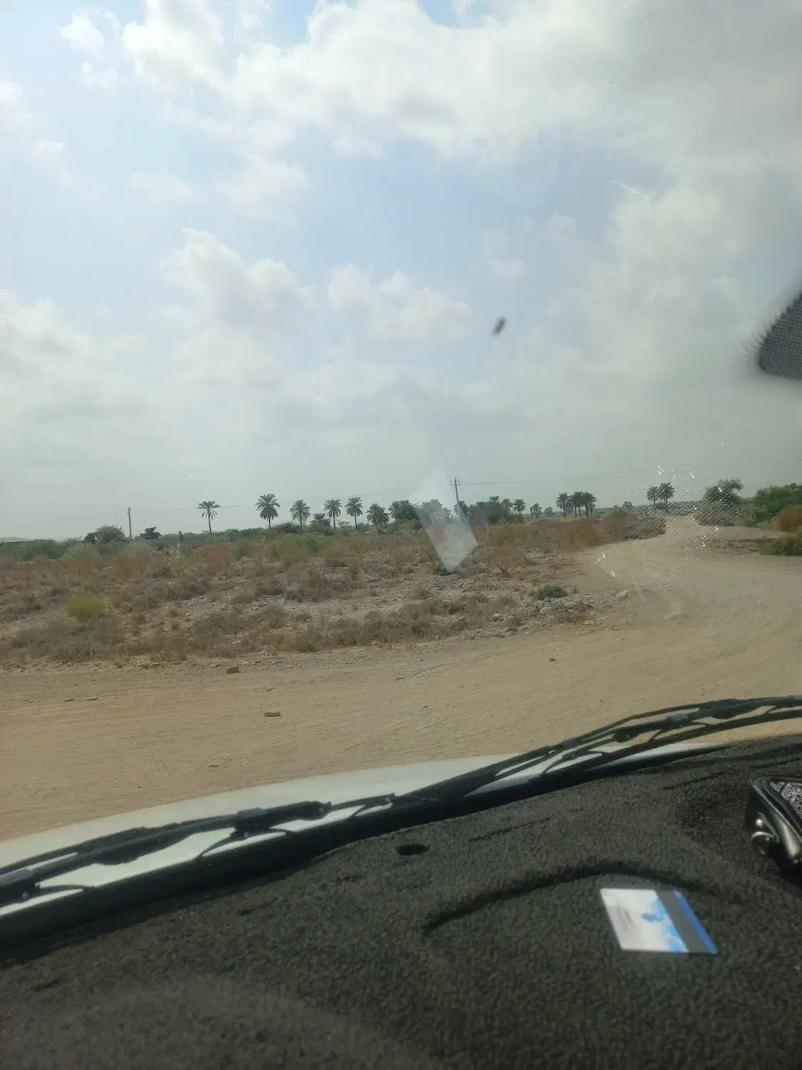 فروش ۲ هکتار زمین کشاورزی با چاه آب نزدیک خیابان|فروش دفتر صنعتی، کشاورزی، تجاری|میناب, |دیوار