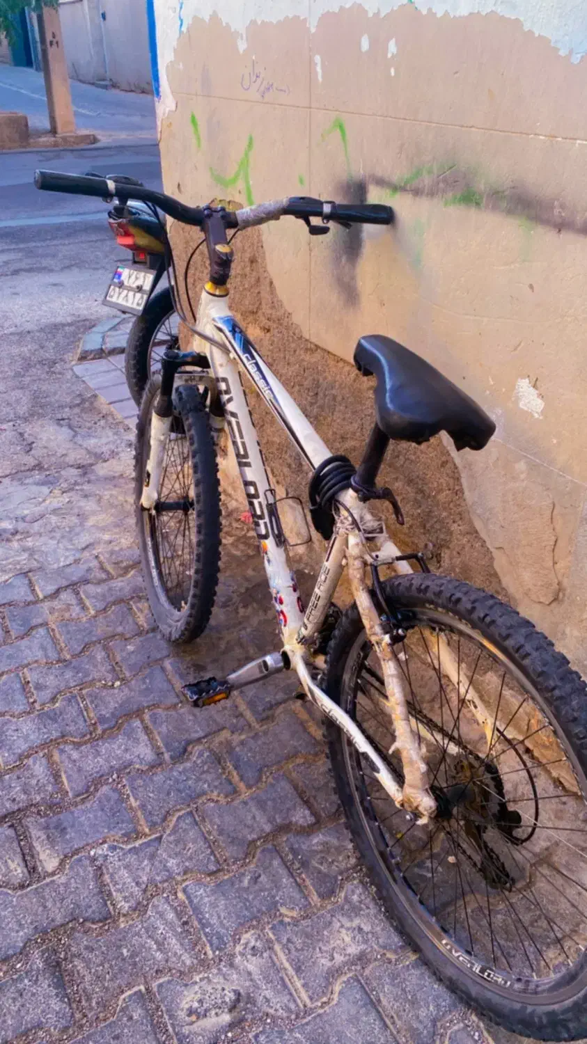 دوچرخه ۲۶|دوچرخه، اسکیت، اسکوتر|تربت جام, المهدی|دیوار