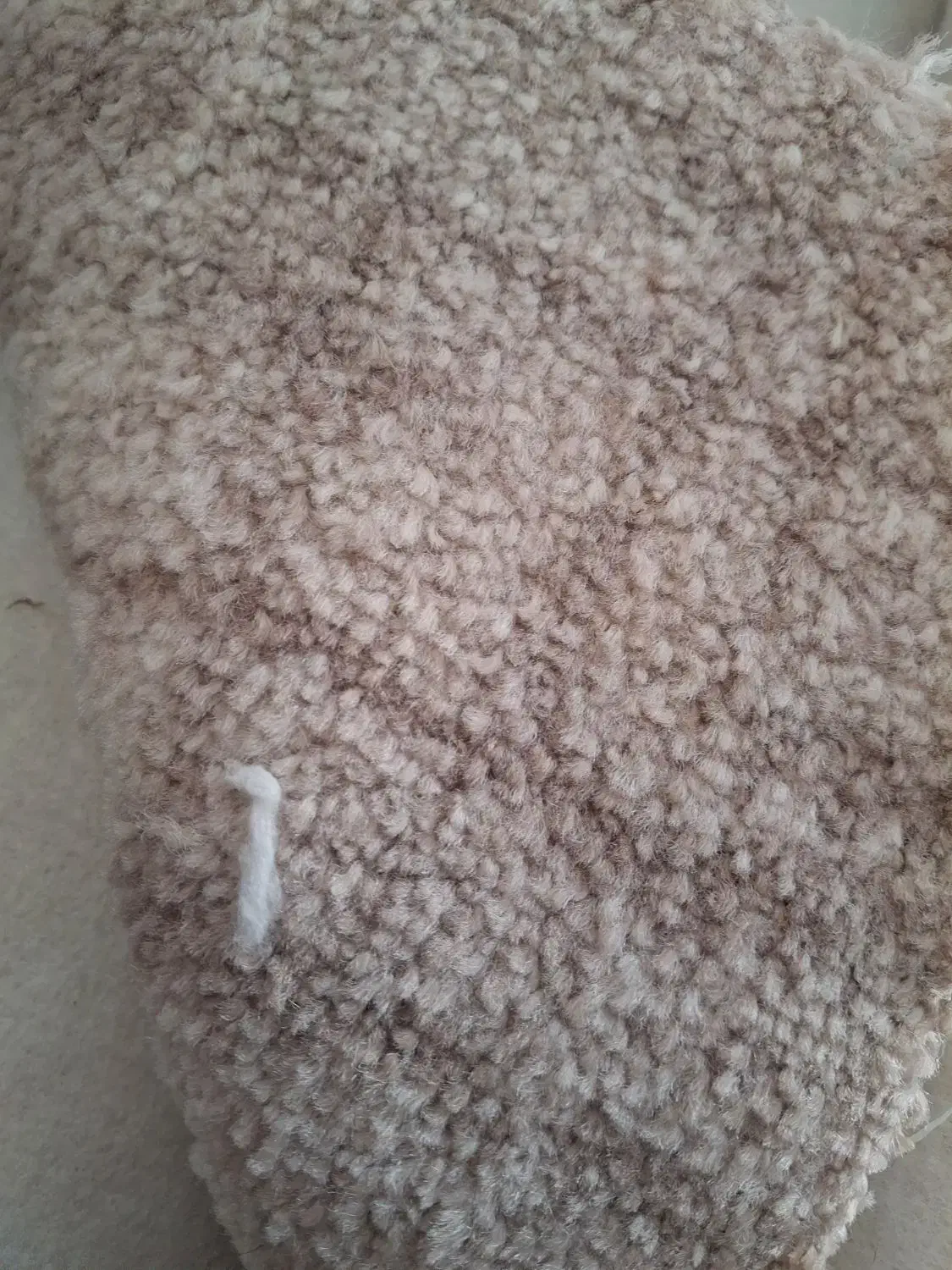 موکت|موکت|شاهین‌شهر, فیض|دیوار