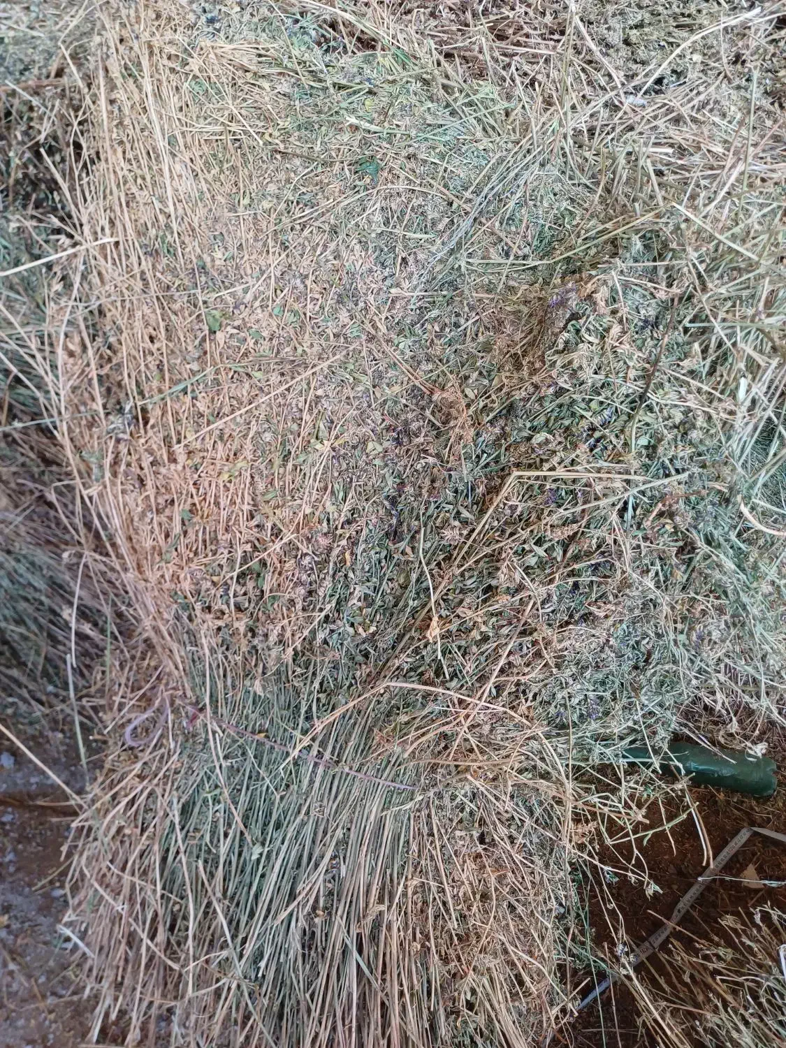 یونجه|لوازم جانبی حیوانات|بجنورد, |دیوار