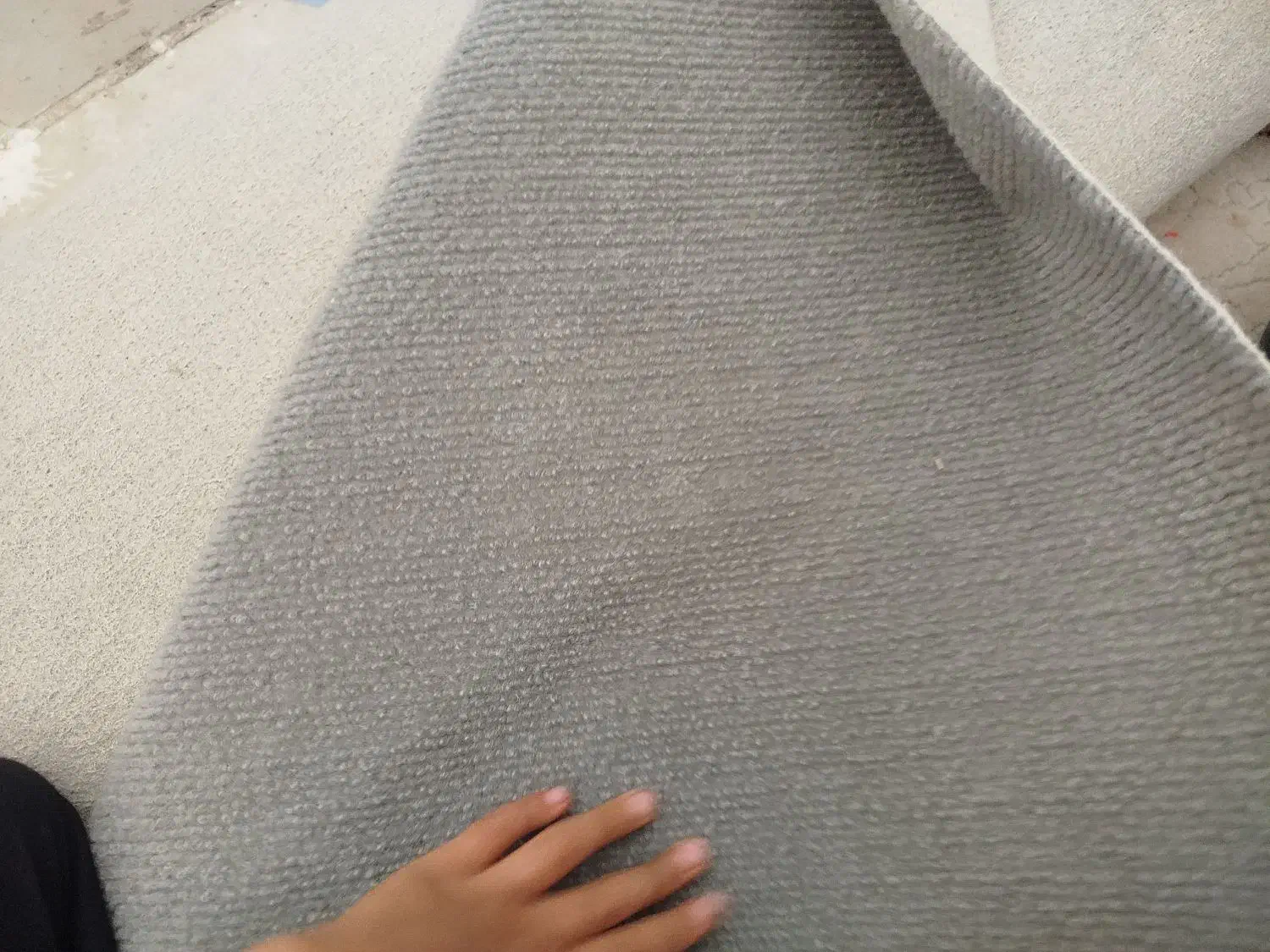 موکت 21متری یه تیکه|موکت|الیگودرز, |دیوار